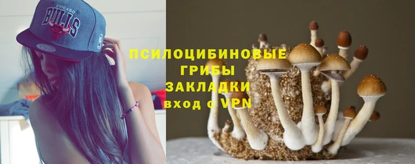 герыч Арсеньев