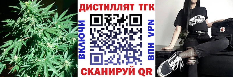 магазин Сасово ТГК концентрат