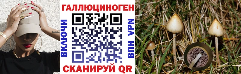 Галлюциногенные грибы ЛСД  даркнет сайт  Сасово 